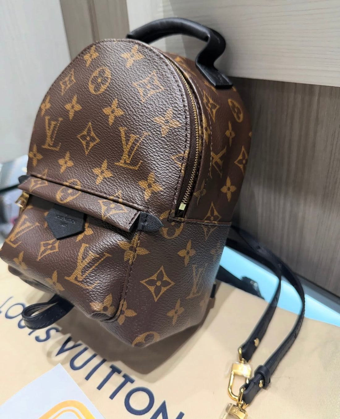 Unworn Louis Vuitton Palm Springs Mini (M44873)