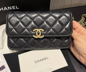 Pre-owned Chanel 23P Phone Holder Chain Crossbody Bag
