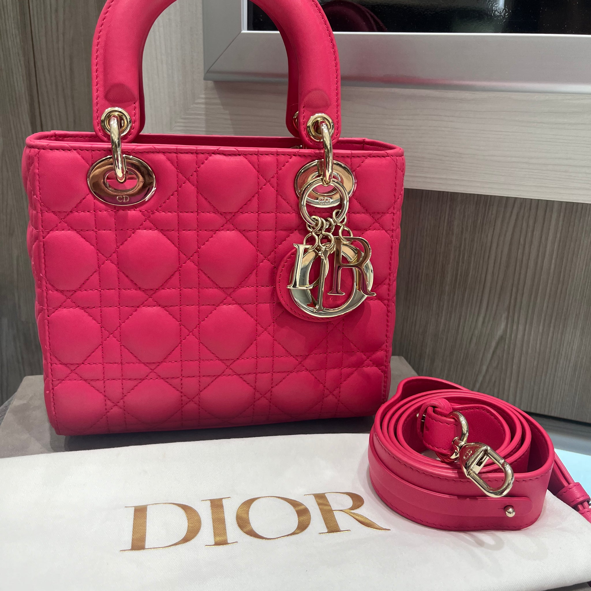 Pre-Owned Christian Dior Small Lady Dior My ABCDior Bag